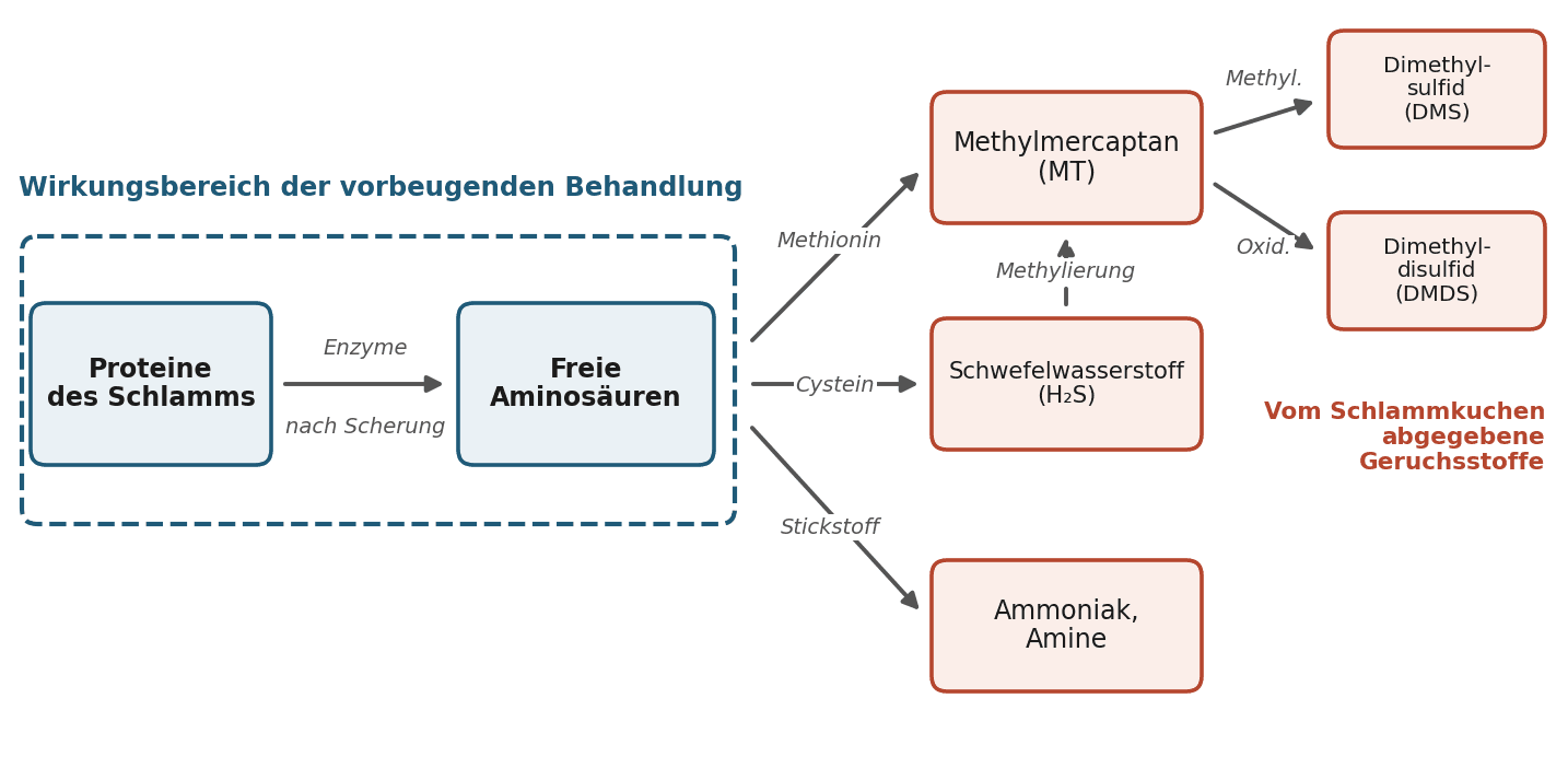 Abbildung 1 — Bildungswege der Geruchsstoffe im Schlammkuchen. Schema neu gezeichnet nach Higgins et al. (2006, 2008).