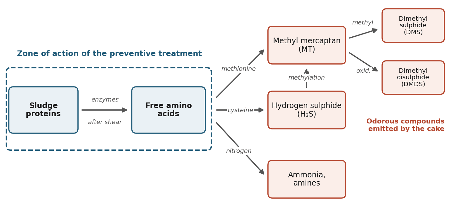 Figure 1 — Formation pathways of odorous compounds in the cake. Diagram redrawn after Higgins et al. (2006, 2008).