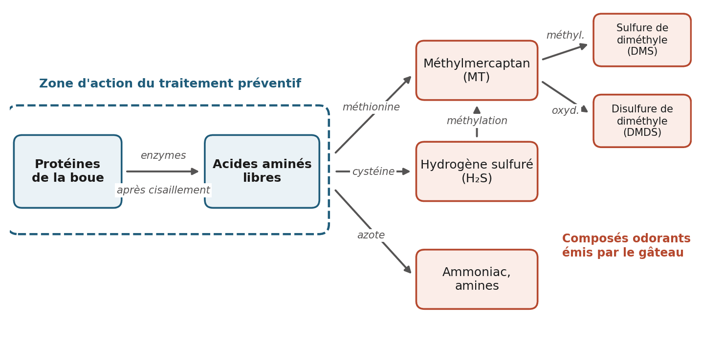 Figure 1 — Voies de formation des composés odorants dans le gâteau. Schéma redessiné d'après Higgins et al. (2006, 2008).