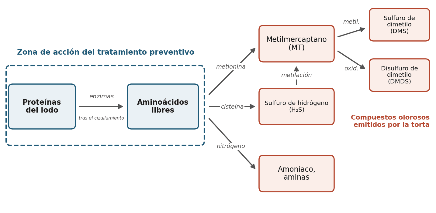 Figura 1 — Vías de formación de los compuestos olorosos en la torta. Esquema redibujado a partir de Higgins et al. (2006, 2008).