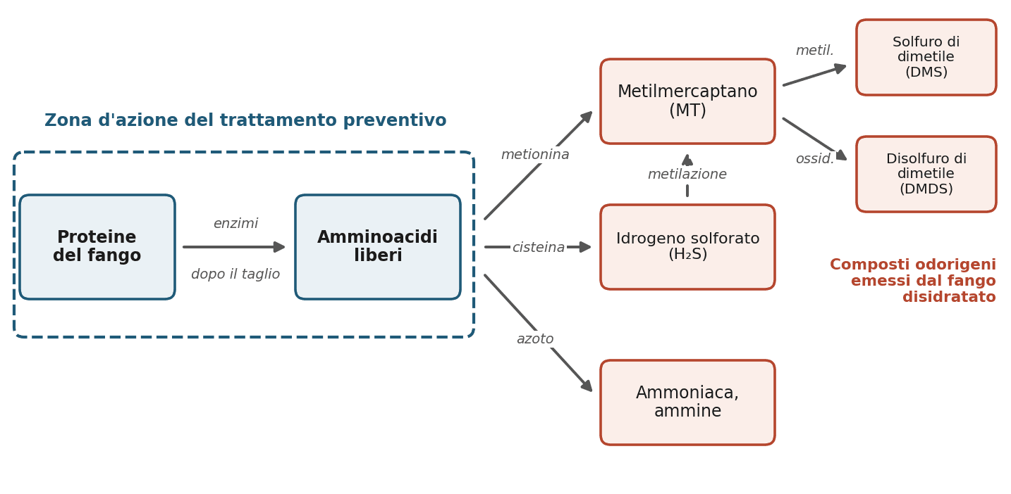 Figura 1 — Vie di formazione dei composti odorigeni nel fango disidratato. Schema ridisegnato da Higgins et al. (2006, 2008).