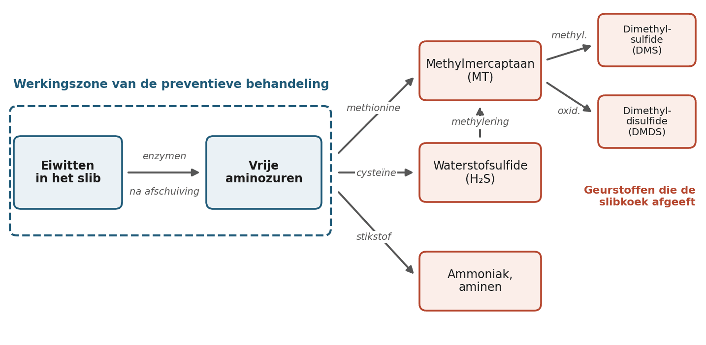 Figuur 1 — Vormingsroutes van de geurstoffen in de slibkoek. Schema hertekend naar Higgins et al. (2006, 2008).